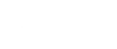 Il Giovane Berlusconi